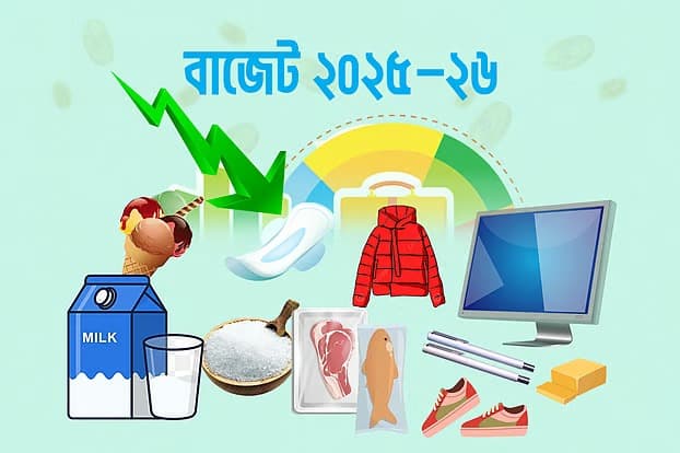 দাম কমতে পারে যেসব পণ্যের