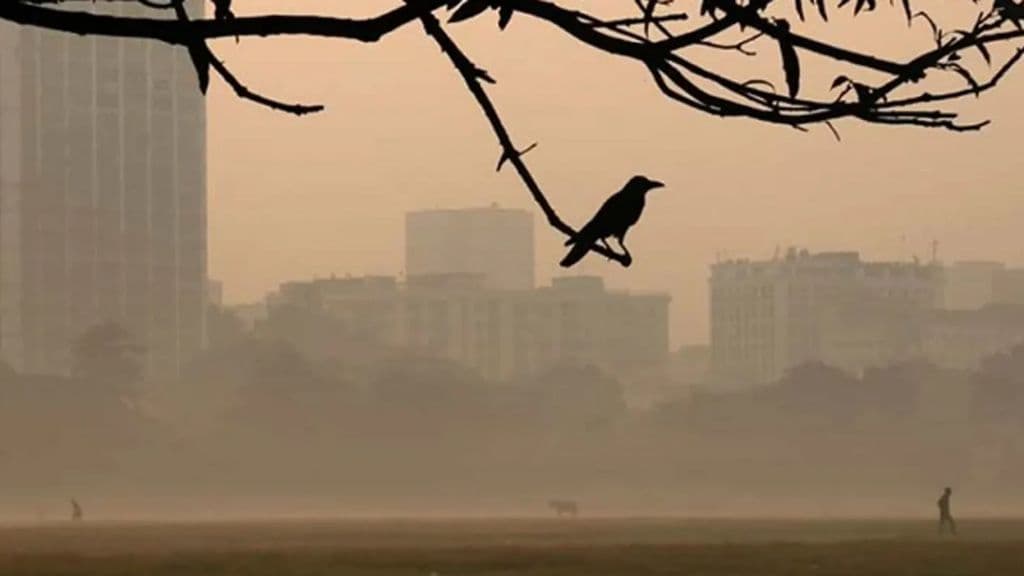 Thumbnail for ঢাকায় তাপমাত্রা নামলো ১৯ ডিগ্রিতে