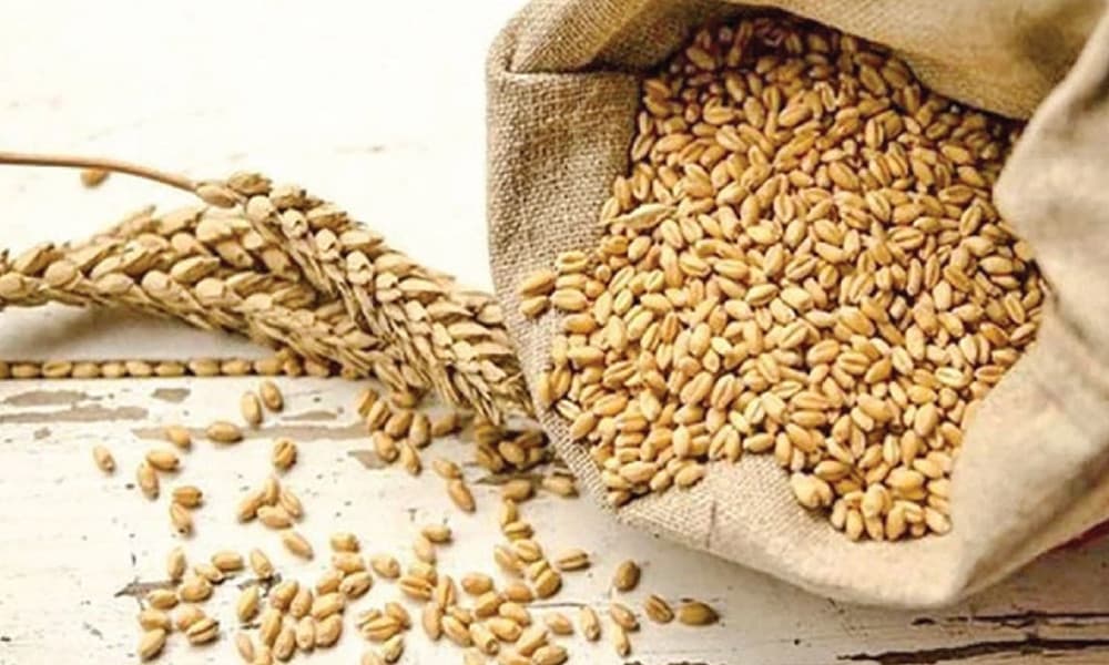 Thumbnail for জিটুজি চুক্তিতে যুক্তরাষ্ট্র থেকে এল আরও ৫৮ হাজার টন গম: ভিড়েছে চট্টগ্রাম বন্দরে